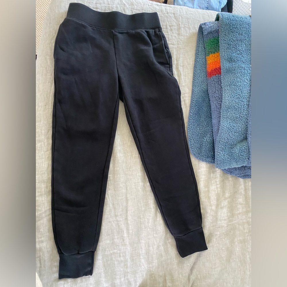 Aritzia Perfect Fit Joggers